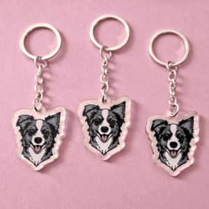 Lenee Brelok Border Collie Merle